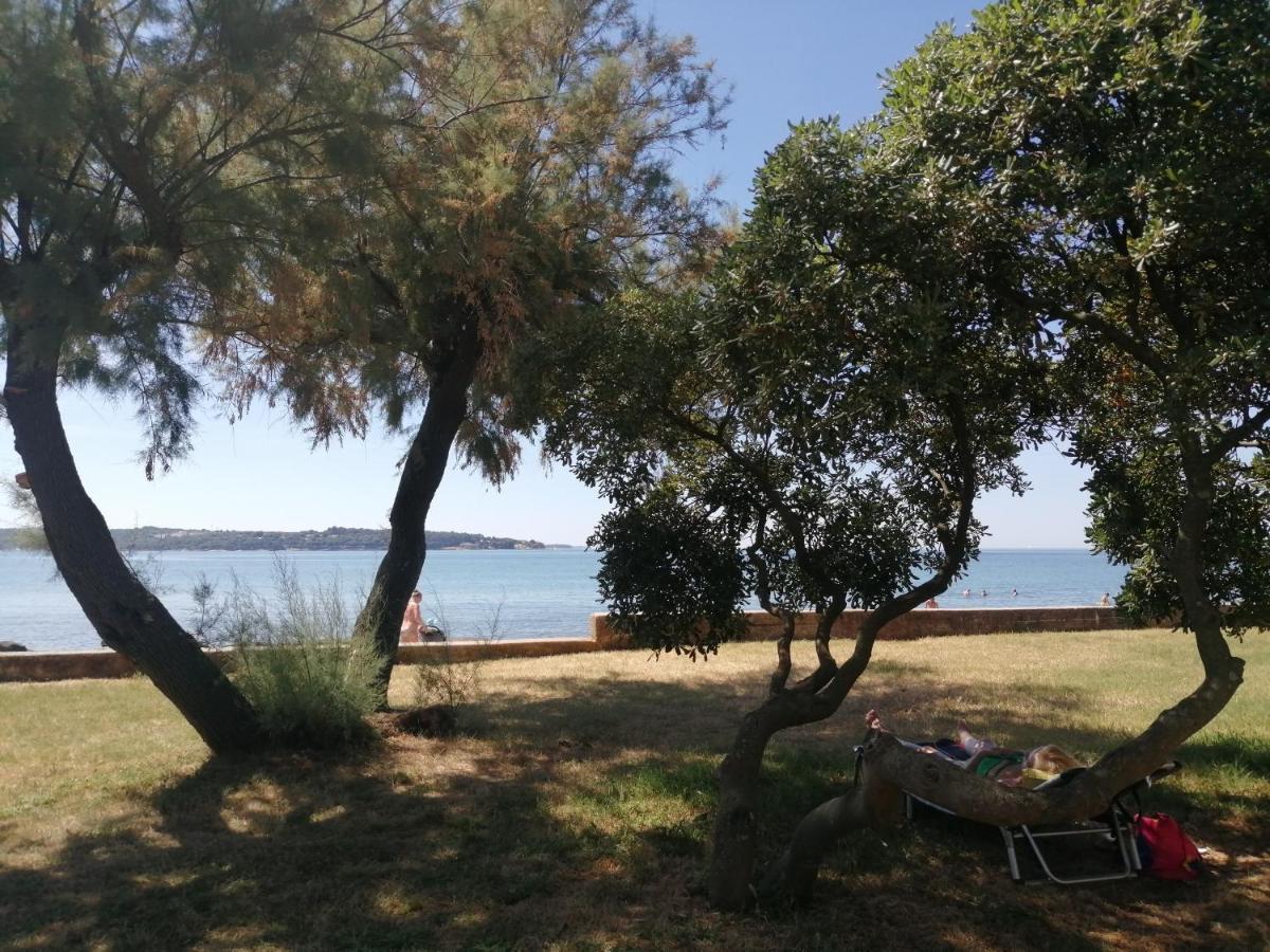 Apartment Vera, 80 M From The Sea Novigrad  Exterior photo